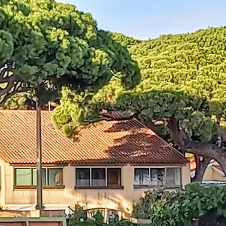 Apartment Duplex Port Vue Hippodrome *