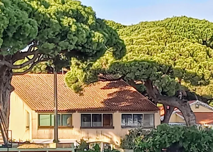 Appartement Duplex Port Vue Hippodrome *