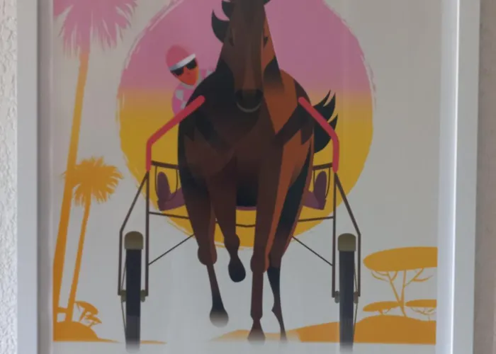 Duplex Port Vue Hippodrome Appartement Hyères